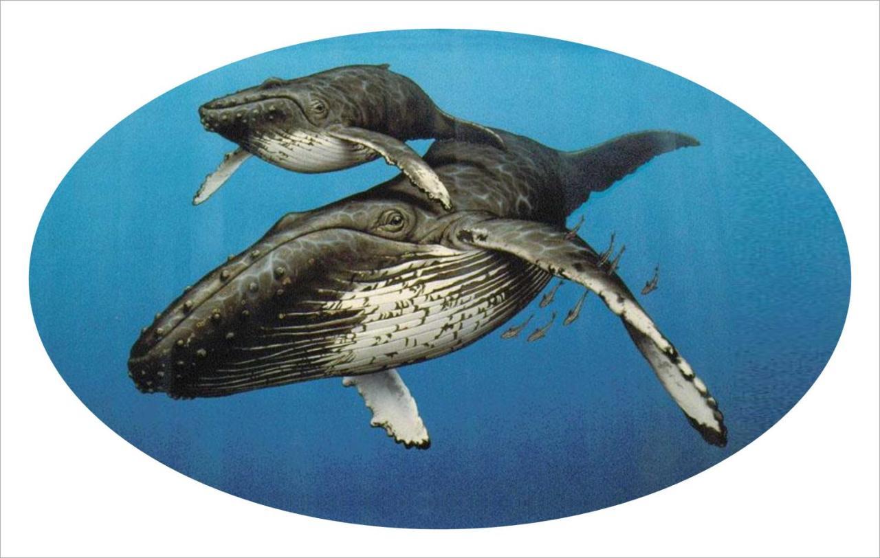 Whispering Whale Jacobs Bay Exterior foto